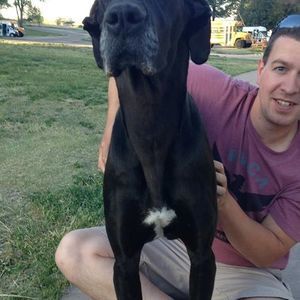 Meet your Posher, Scarlet